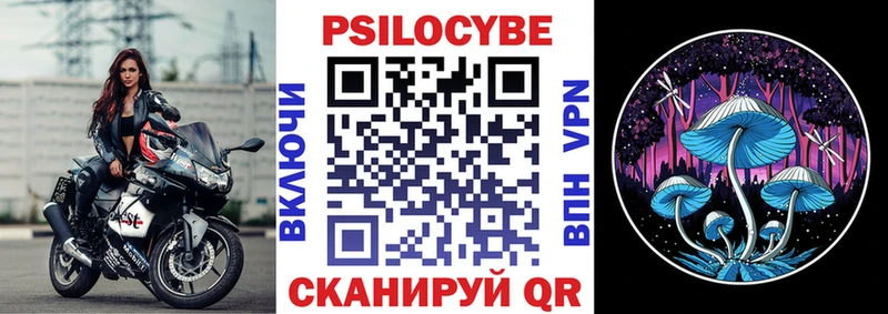 Купить где  Владивосток  Псилоцибиновые грибы прущие грибы 